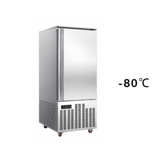 Prosky 600L 16 Trays Stainless Steel Ice Block Commercial Blast Freezer Chiller for Meat from