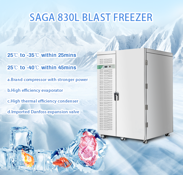 Large Scale Commercial Blast Chiller Baking from China manufacturer